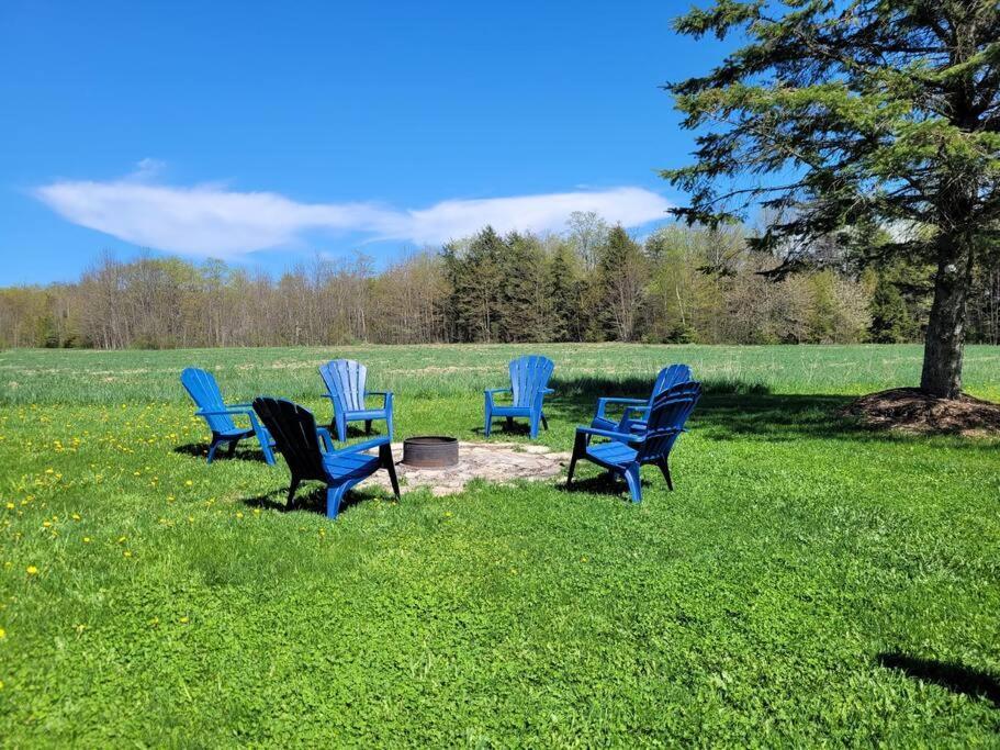 Family Friendly Cottage ☆Walking Distance To Beach Lion's Head Exterior photo