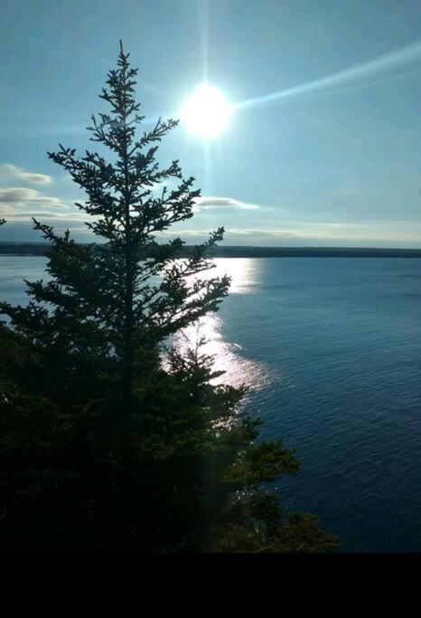 Family Friendly Cottage ☆Walking Distance To Beach Lion's Head Exterior photo