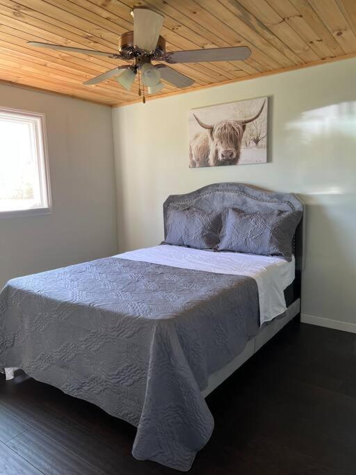 Family Friendly Cottage ☆Walking Distance To Beach Lion's Head Exterior photo