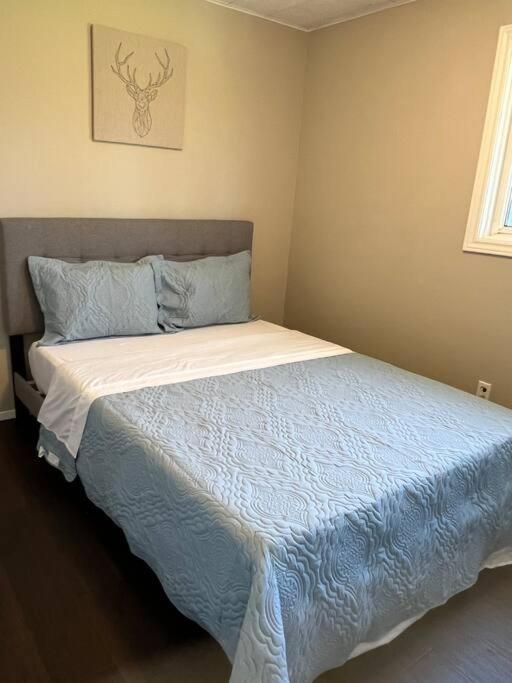 Family Friendly Cottage ☆Walking Distance To Beach Lion's Head Exterior photo